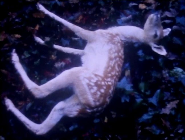 photo filmstill1_zpsce5b6193.jpg