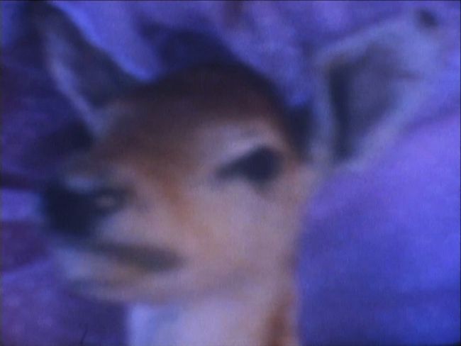 photo filmstill21_zps57adf7ae.jpg