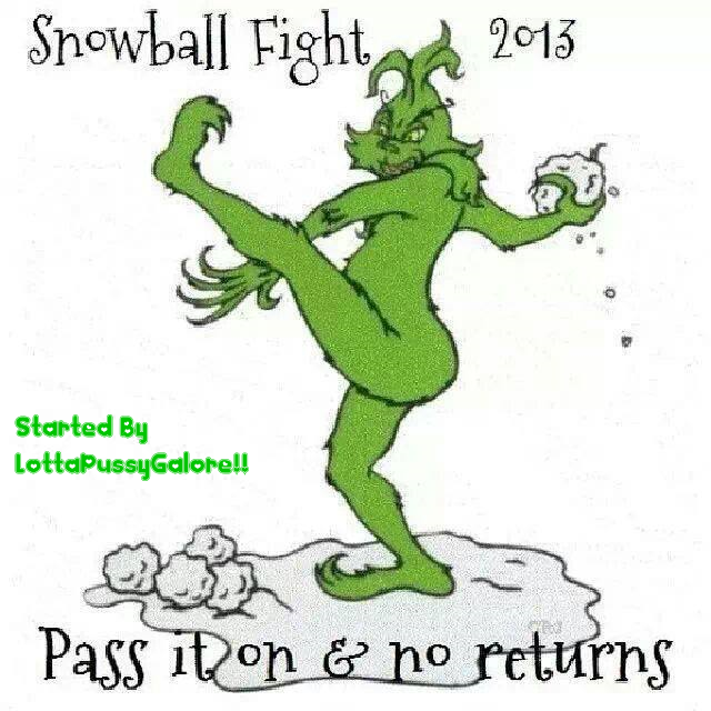  photo SnowBall_Fight__zps37eb1638.png