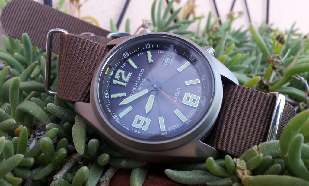 casio overland