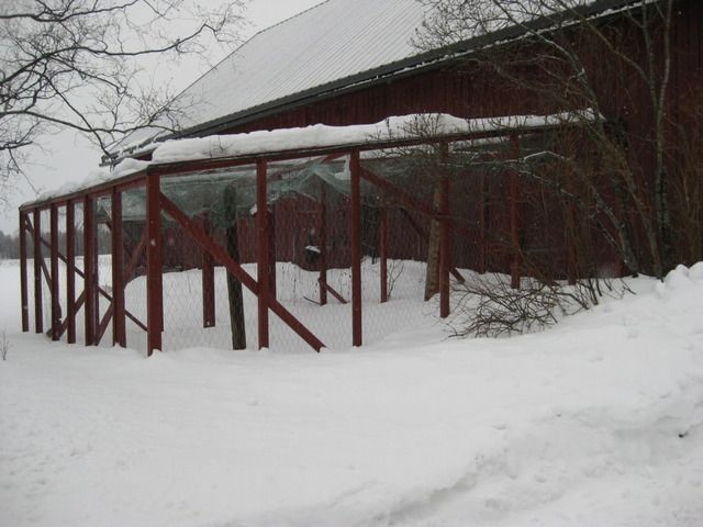 Kuva