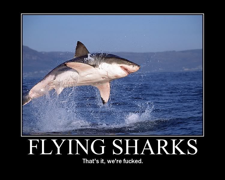 sharks.jpg