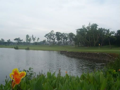 MSEGolfCourse01-1.jpg picture by delf0712