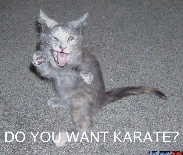 karatekitteh.jpg