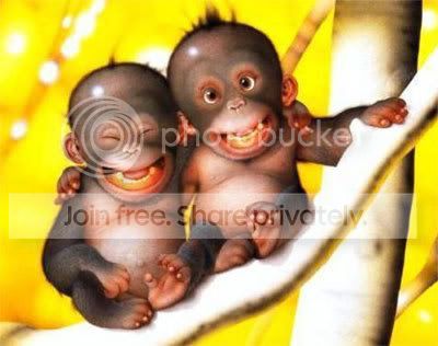 funny-monkey.jpg