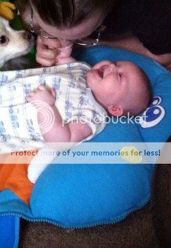 21b8bd6d-be85-485f-a95e-017cf75e5c45