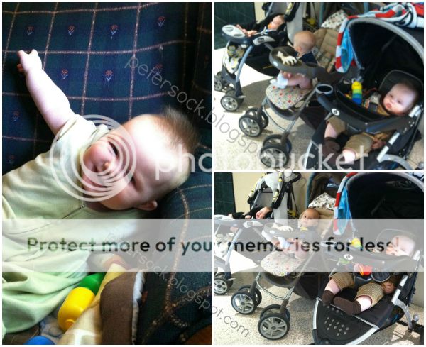 photo BMMcollage_zps6f11f617.jpg