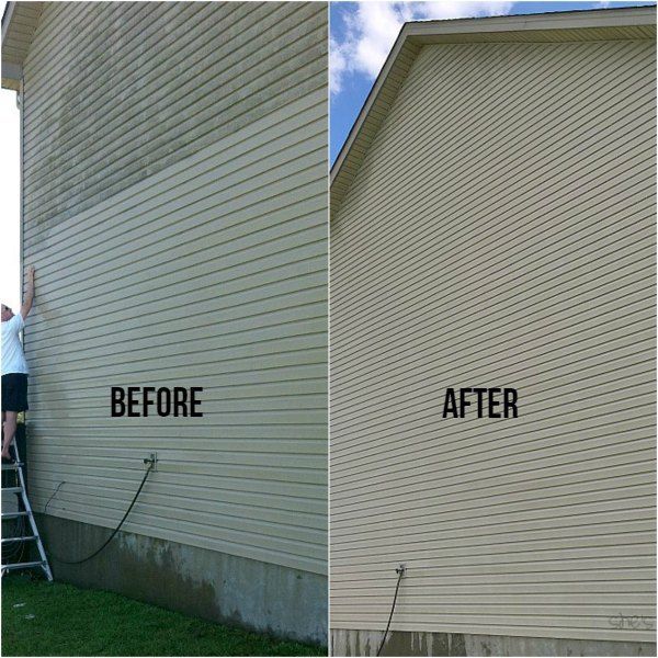 How to clean moldy siding