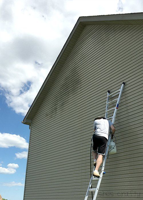 Use a sprayer to spray bleach to clean moldy siding