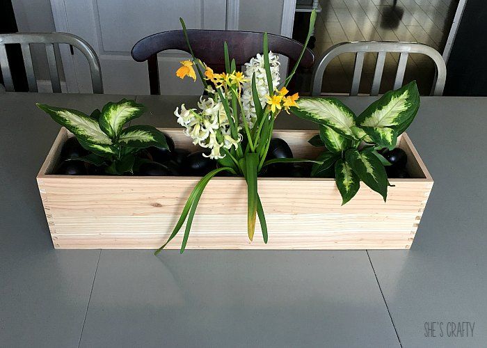 flower box, hyacinth, daffodils, plans, chalkboard eggs