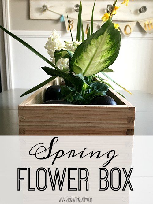 flower box, plants, centerpiece, table, chalkboard eggs