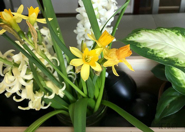 daffodils, hyacinth, chalkboard easter egg