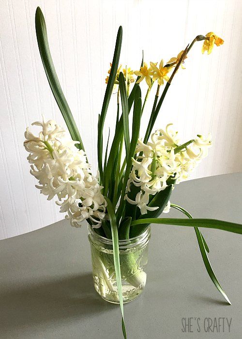 fresh daffodils and hyacinths in a mason jar