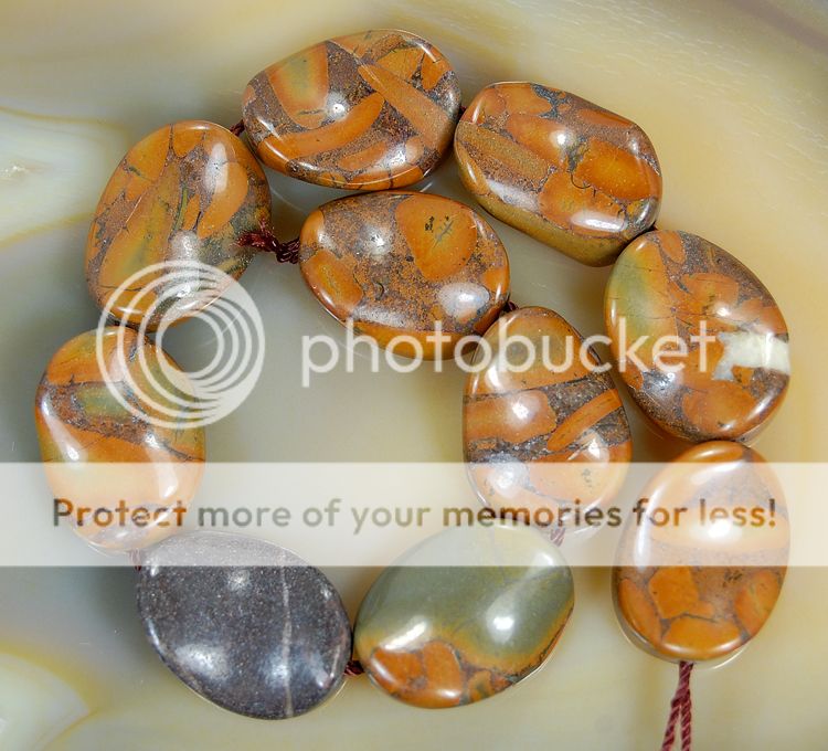 5x8mm natural cowry fossil rondelle beads 15 5c