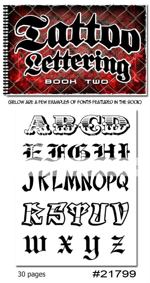   Supplies reference book flash Lettering Script Volume 2 fonts names