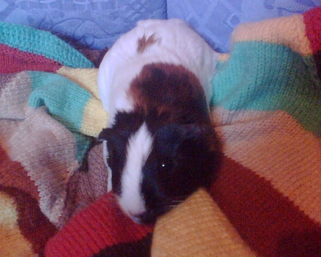 Image0092.jpg