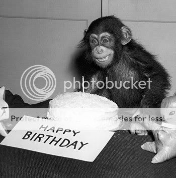 Happy-Birthday-Chimp-Note-Card-C117.jpg