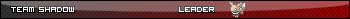 [PokeCommunity.com] TEAM Shadow