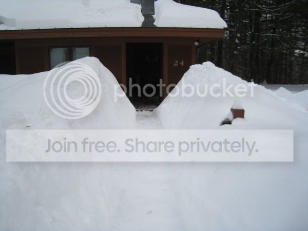 IMG_0003.jpg