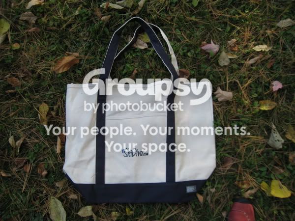 bag.jpg