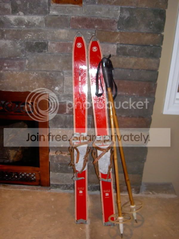 skis.jpg