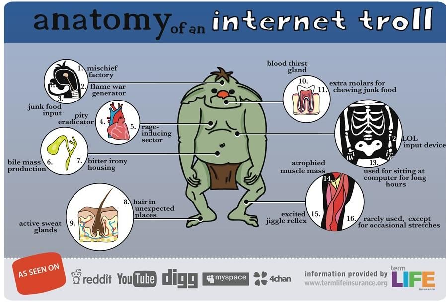photo internet-troll_zps954570eb.jpg