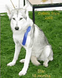 009.gif picture by julestar-rarebreeds