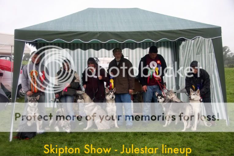 Skipton2009-2.jpg picture by julestar-rarebreeds