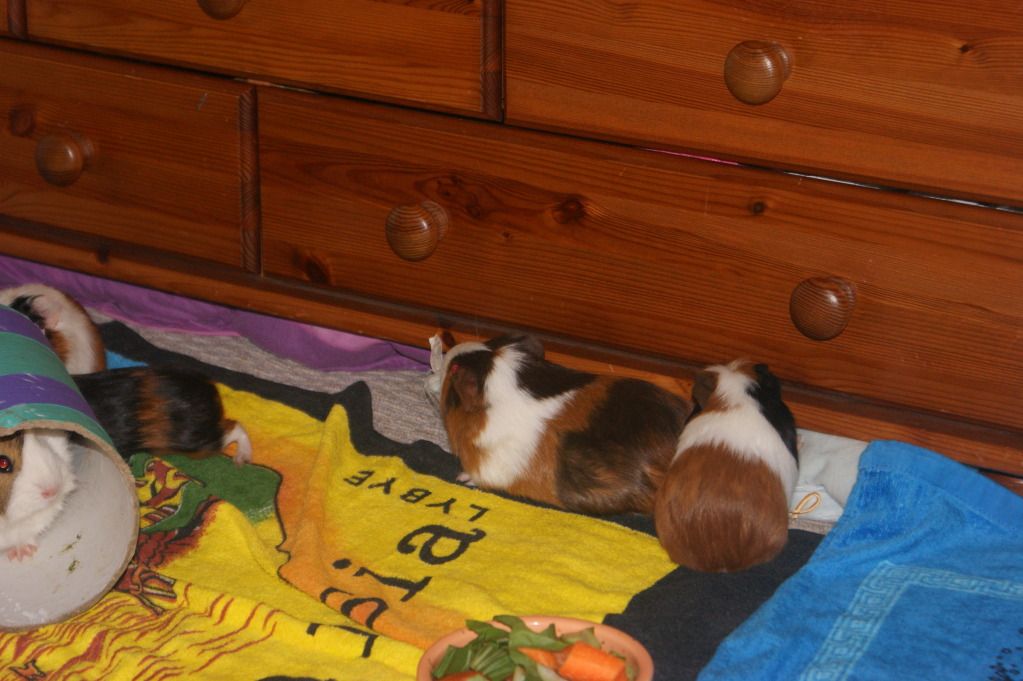 DSC02014.jpg