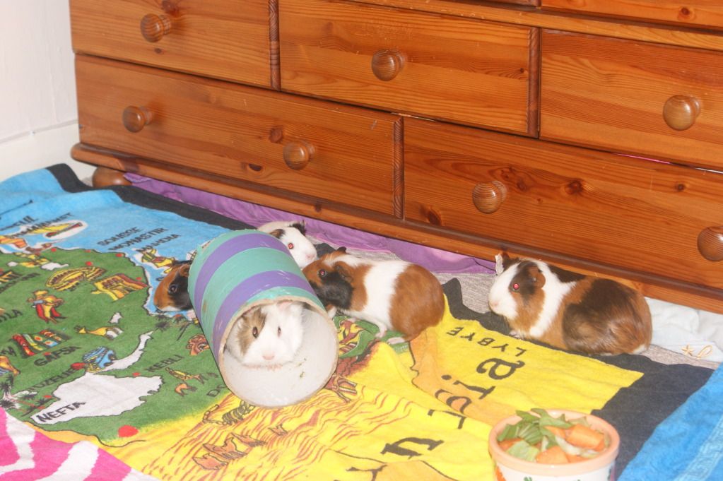 DSC02015.jpg