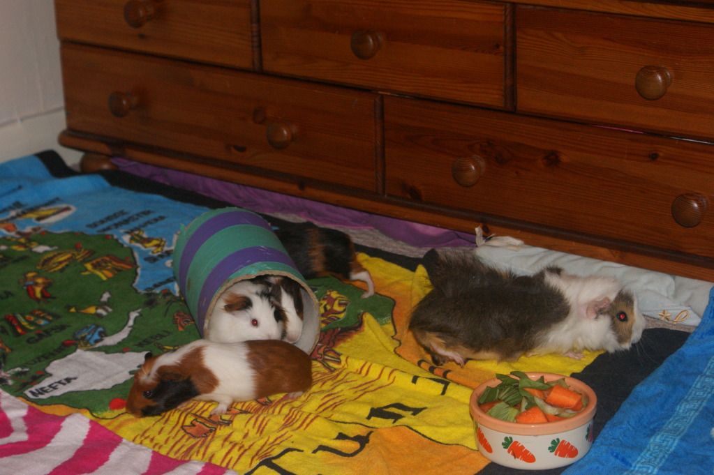 DSC02016.jpg
