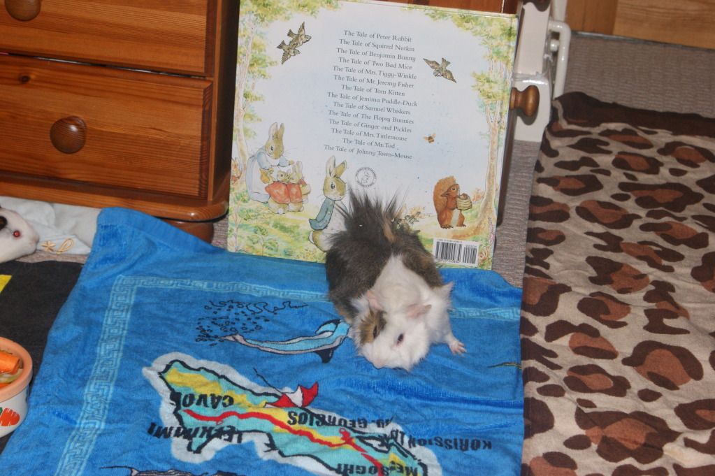 DSC02018.jpg