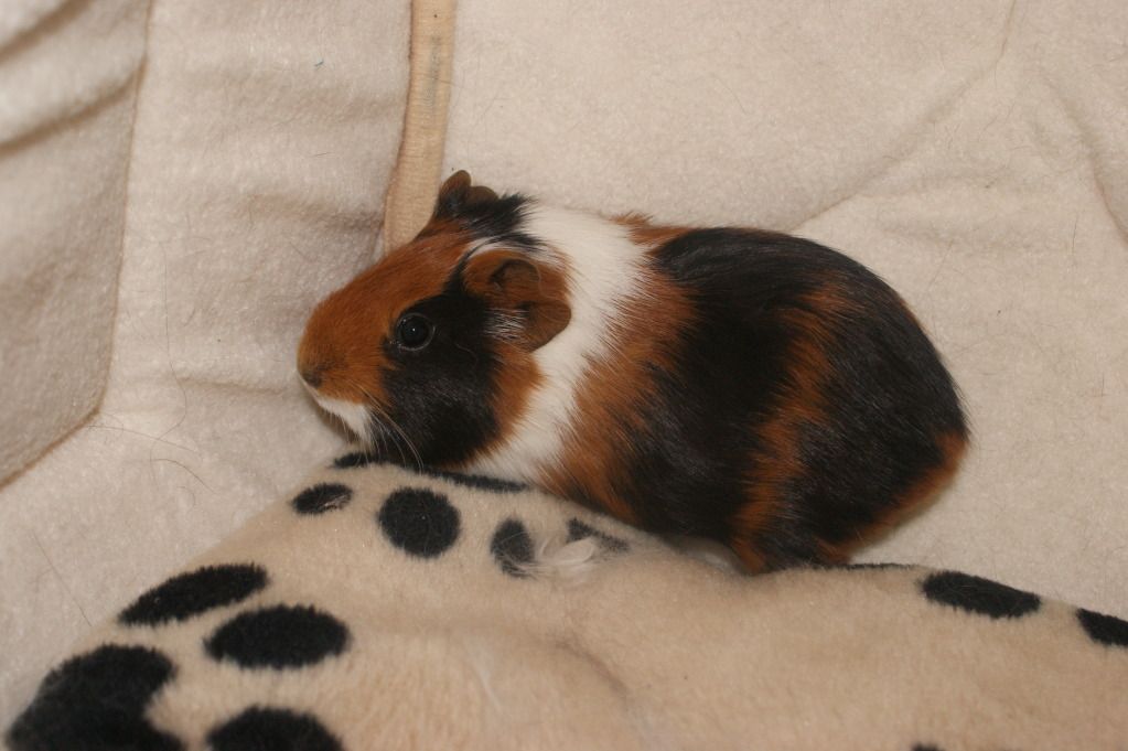 DSC01988.jpg