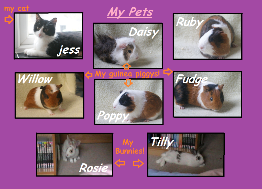 allmyanimals.png